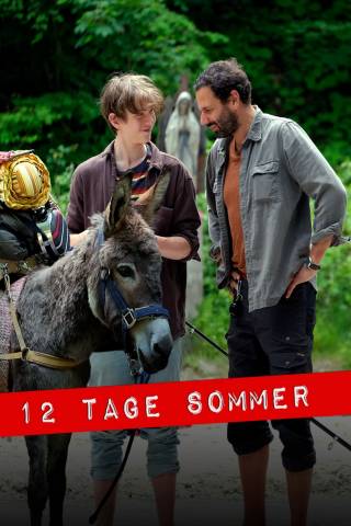 12 Tage Sommer